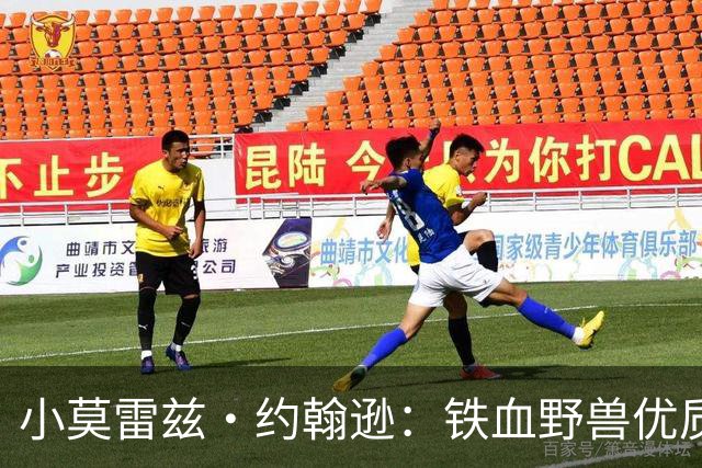 小莫雷兹·约翰逊：铁血野兽优质冠军拼图 开发三分顺位直逼乐透